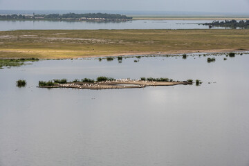 lake with birds and islands on a plateau in a national park in Kenya 