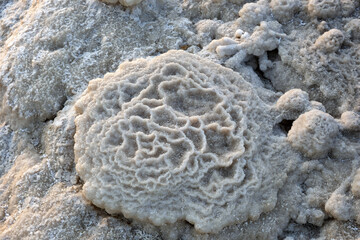 Salt crystals on the shore of the Dead Sea