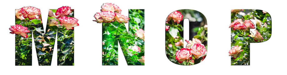 The letters M, N, O, P are made of beautiful garden roses