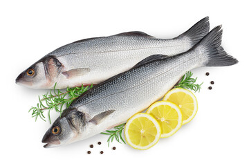 Sea bass fich isolated on white background with clipping path. Top view. Flat lay