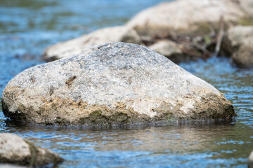 Close-up white rock in the river.Blurred background
