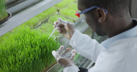 scientist makes analysis of plants.