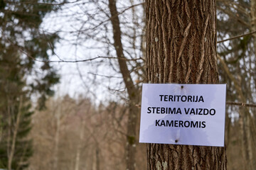 Sign on the tree, saying, that territory is being surveilanced with video cameras 