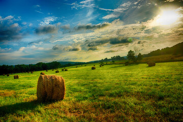 Sunrise on an early Summer's Day here in the Windsor Area in Broome County in Upstate NY.  Bails of hay spread out over the field in Ouaquaga.  Warm morning lighting sets the mood.  Sidelit and pastel © Chet Wiker