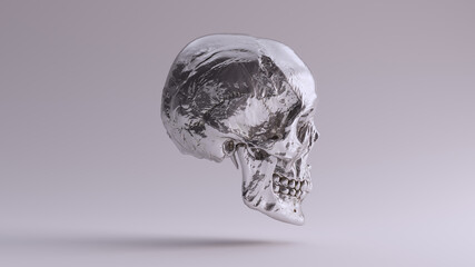 Silver Human Female Skull Medical Anatomical with Teeth and Jaw Bone Right Side 3d illustration render