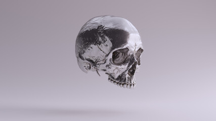Silver Human Female Skull Medical Anatomical with Teeth and Quarter Right Side 3d illustration render