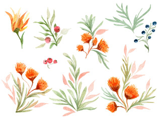 Autumn watercolor plant elements. Template for decorating designs and illustrations.