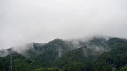 Fototapeta na wymiar 濃霧の山。日本の田舎の自然風景。