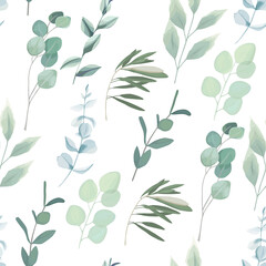 Botanical seamless pattern with eucalyptus branches . Vector  illustration. Vintage print