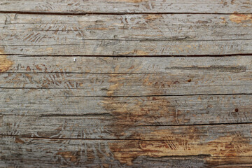 Old wooden background. Rustic log surface for design.