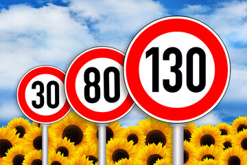 Sonnenblumen und Schilder Tempolimit Geschwindigkeit 130  80  30 - obrazy, fototapety, plakaty