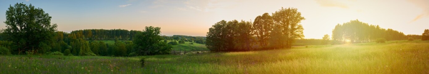 Fototapeta premium Dramatic summer meadow with a warm backlit of sunlight at sundown