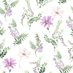 Fototapeta na wymiar Floral seamless pattern of wild green plants with small purple flowers and cosmos flowers, delicate watercolor print on white background, botanical illustration.