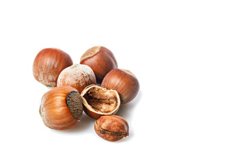 Filbert nuts on a white background. Ripe hazelnuts. Wild hazelnut. Natural organic product. Copy space. A place for your text.