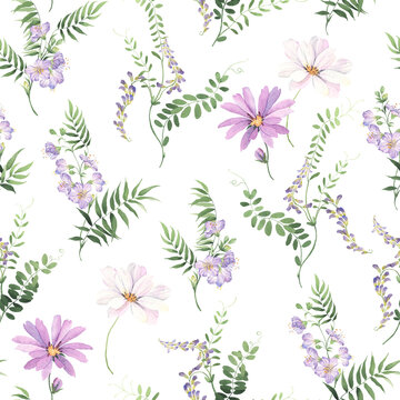 Floral seamless pattern of wild green plants with small purple flowers and cosmos flowers, delicate watercolor print on white background, botanical illustration.