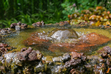 Still Water 2