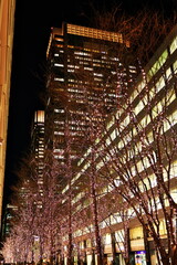 夜のオフィス街に灯るイルミネーション