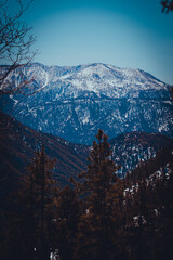 snow covered mountains