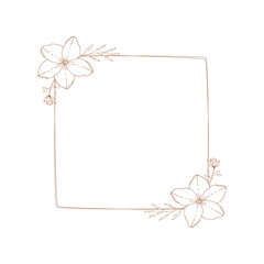 Floral square frame for wedding design. Elegant monogram borders. Vector isolated illustration.