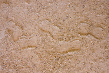 Shoe print on pebble sand surface,top view. Can be used horizontally or vertically 