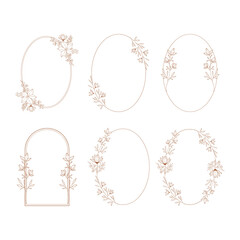 Set of hand drawn oval frames. Floral and botanical borders.  Vector isolated illustration. - 441977944