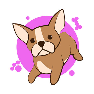 Color vector illustration cartoon on a white background of a cute French Bulldog.