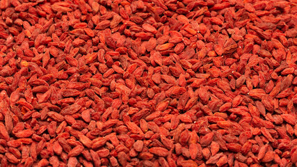 Red berries goji isolated on white background.