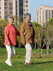 Happy old couple walking in the park