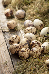 Quail eggs on an old wooden table.