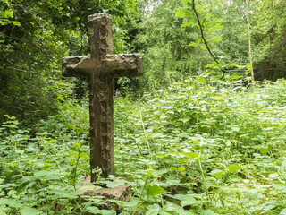A lone cross sticks out from the weeds that have enveloped many of the other memorials in an abandoned graveyard