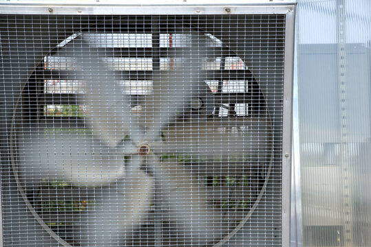 Agriculture:  Greenhouse fan whirrs at full speed to pull air from inside the large unit and maintain an optimum temperature.