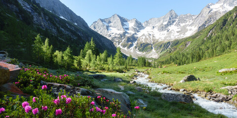 Panorama einer Berglandschaft mit Gebirgsbach und Gletscher im Hintergrund