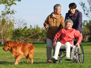 Happy family of three and pet dog walking in the park