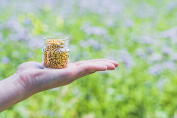 Jar of bee pollen on a woman's hand, healthy dietary supplement full of vitamins and trace elements.

