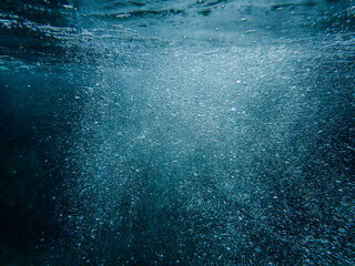Bubbles underwater rising to water surface, natural scene, Mediterranean sea, Underwater with bubbles. Great for backgrounds, Rising air bubbles in surface Underwater, algeria.