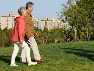 Happy old couple walking in the park