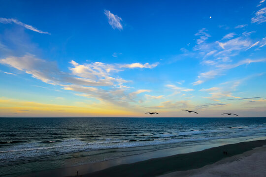 Here is a picture of three pelicans flying down the beach just before sunset on a beautiful evening. This was taken at Daytona Beach Shores and the moon had already come out.