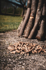 Pellet granules as a renewable biofuel for heating houses, pellets in comparison with wood logs prepared for winter period. Biomass, power and renewable energy concept
