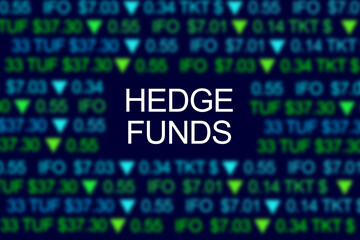 Obraz premium Hedge funds words. Data analitics. Financial technology. Stock market. Investing companies. Trading symbols around Hedge funds text.
