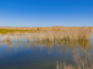 Sunny view of the Beautiful landscape around the Lake Mead National Recreation Area