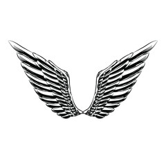 Isolated Wings Illustration for Logo and Branding Element