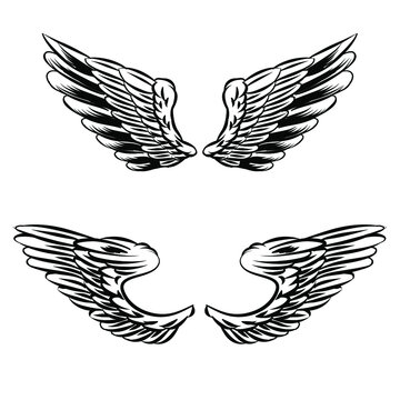 Isolated Wings Illustration for Logo and Branding Element