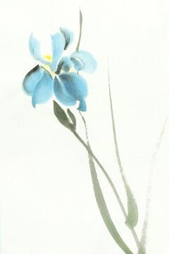 bright blue iris flower