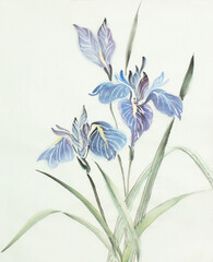 bright blue iris flower - 441988572