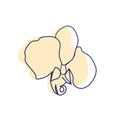 continuous line drawing of beautiful flowers. minimalism, beauty