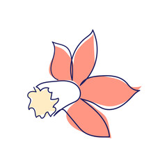 continuous line drawing of beautiful flowers. minimalism, beauty