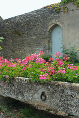 Fototapeta na wymiar Beautiful flowers in pots in a European town of Vezelay in Burgundy, one of the most beautiful French villages with narrow streets and medieval old buildings, popular tourist destination.