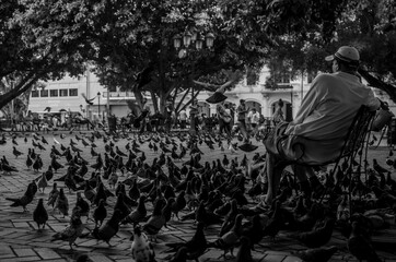 Zona Colonial Republica Dominicana