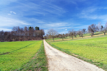 Fototapeta na wymiar Landschaft Malmsheim