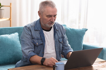 Senior gray-haired man in casual clothes uses laptop for work sitting on the couch at home, focused